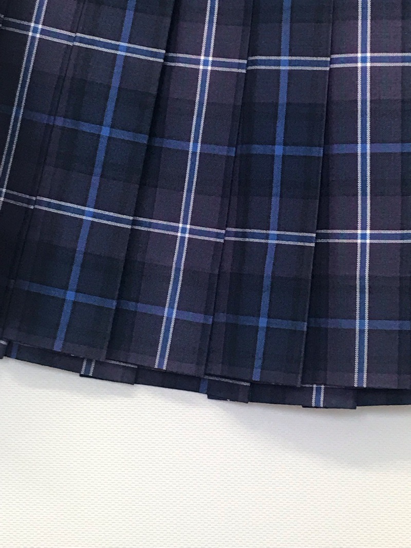 神奈川県 伊勢原高校 スカート(夏)【0304648】