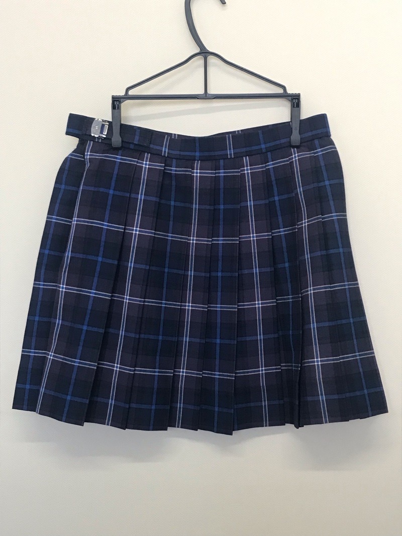 神奈川県 伊勢原高校 スカート(夏)【0304648】