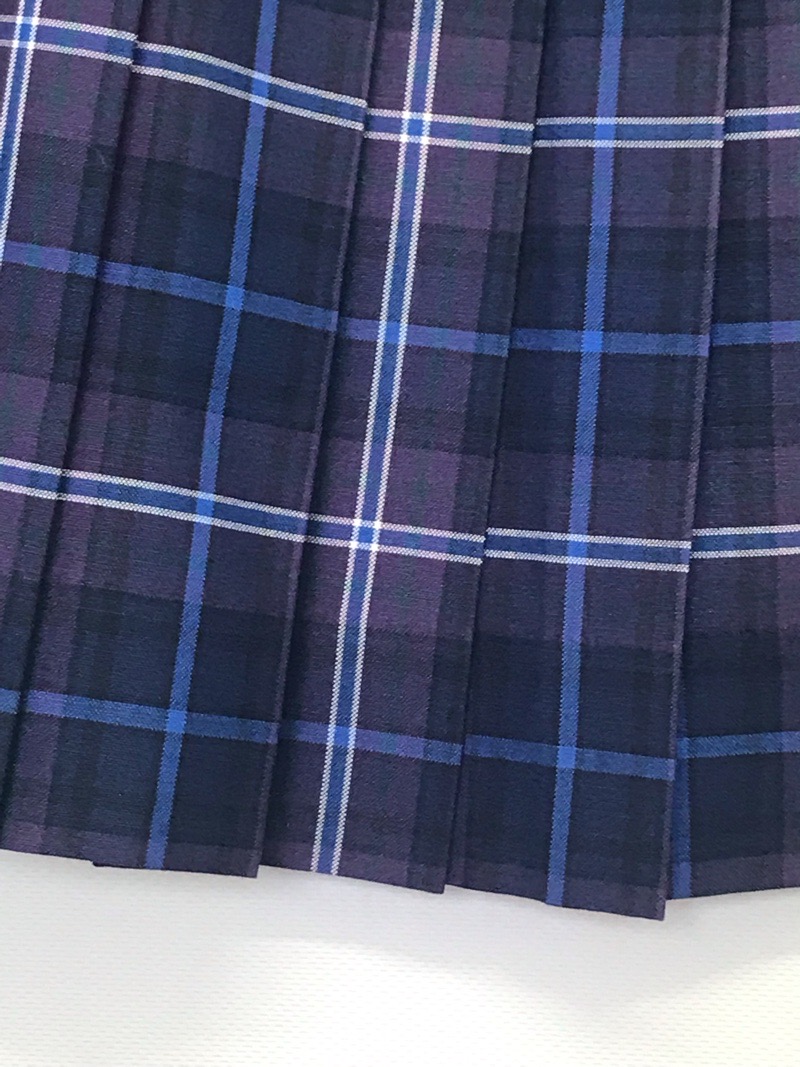 神奈川県 伊勢原高校 スカート(夏)【0304648】