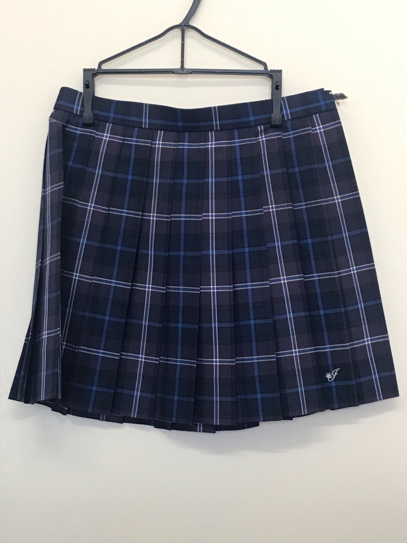 神奈川県 伊勢原高校 スカート(夏)【0304648】