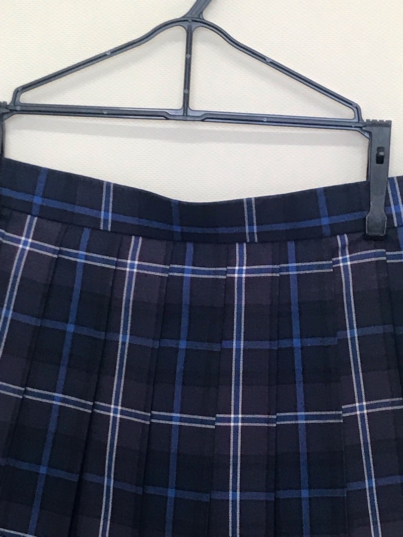 神奈川県 伊勢原高校 スカート(夏)【0304648】