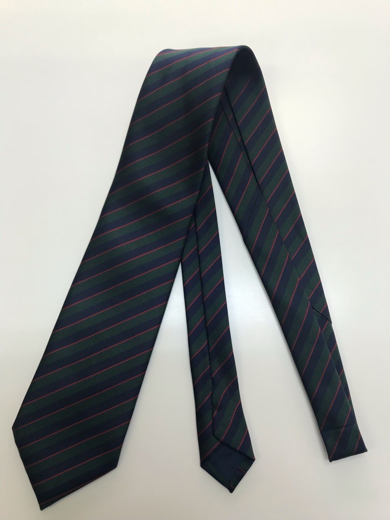 神奈川県　星槎国際高校　ネクタイ　【0210556】