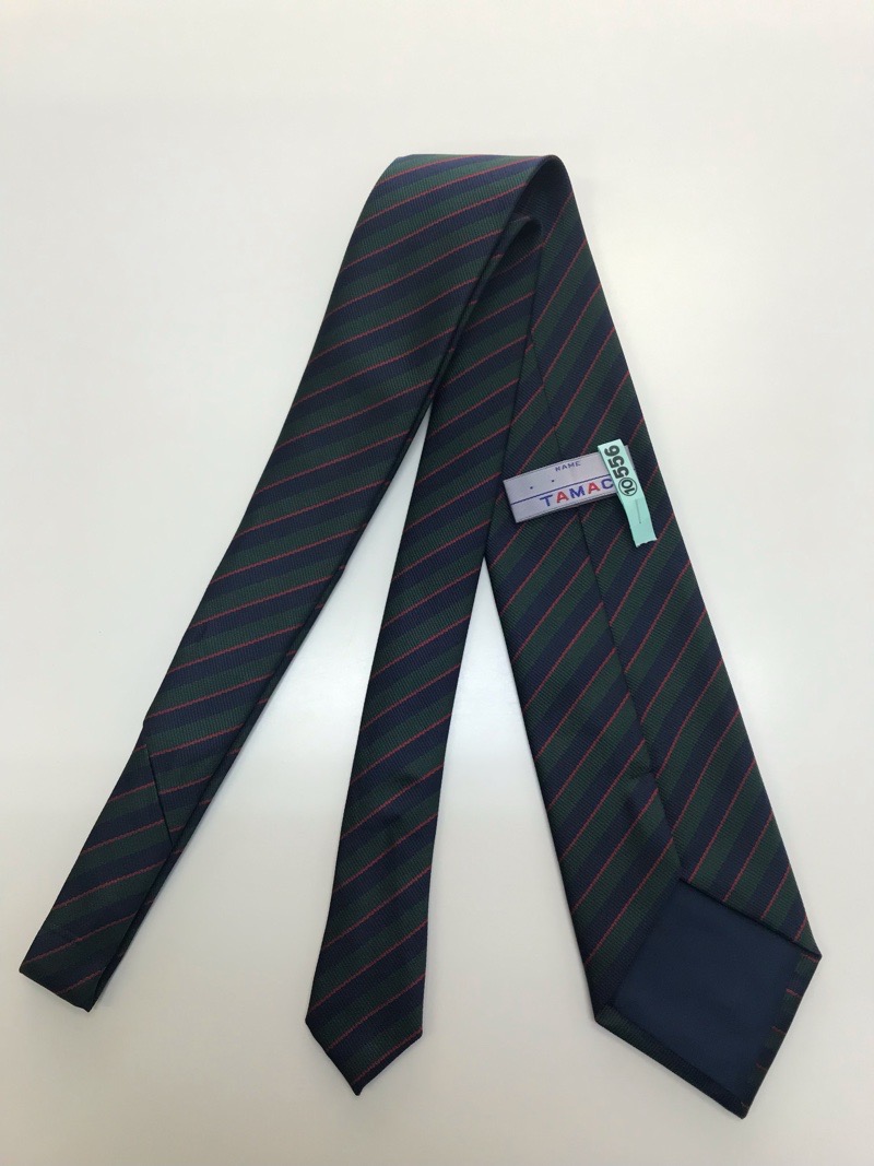 神奈川県　星槎国際高校　ネクタイ　【0210556】