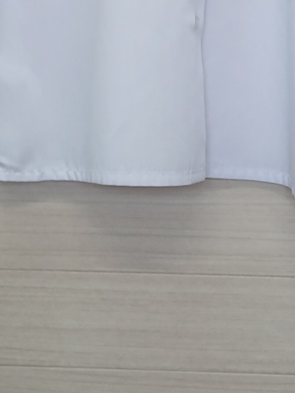 神奈川県　伊勢原高校　ブラウス（半袖）【0304732】