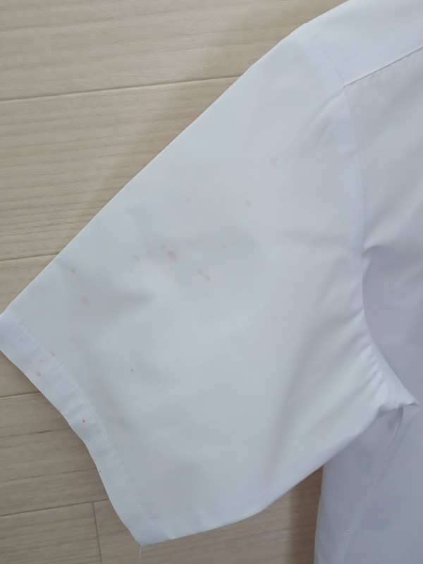 神奈川県　伊勢原高校　ブラウス（半袖）【0304732】