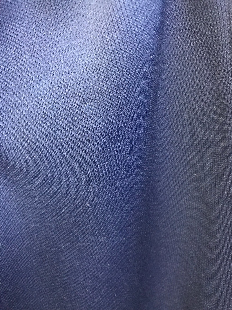 自修館中等教育学校　ジャージ下　旧デザイン【0207385】