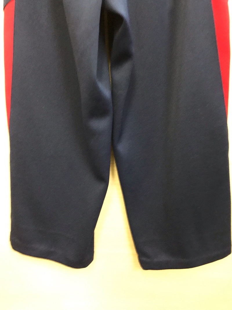 自修館中等教育学校　ジャージ下　旧デザイン【0207385】