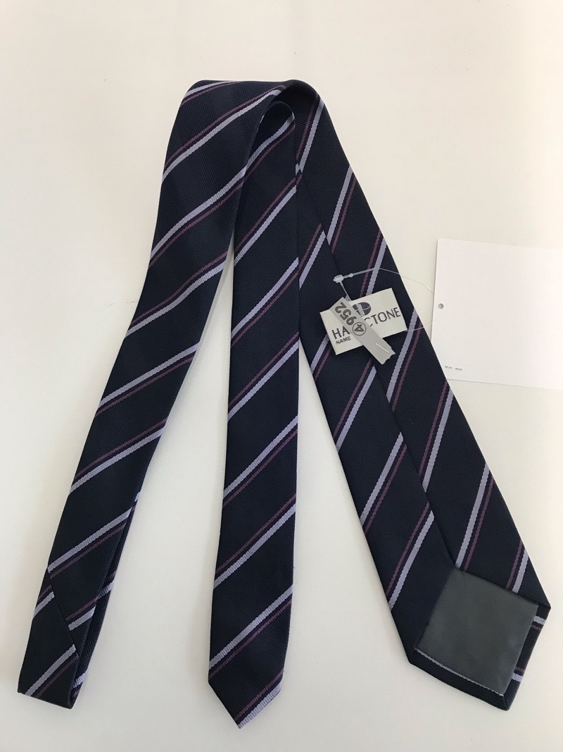 神奈川県　厚木西高校　ネクタイ　【0304952】