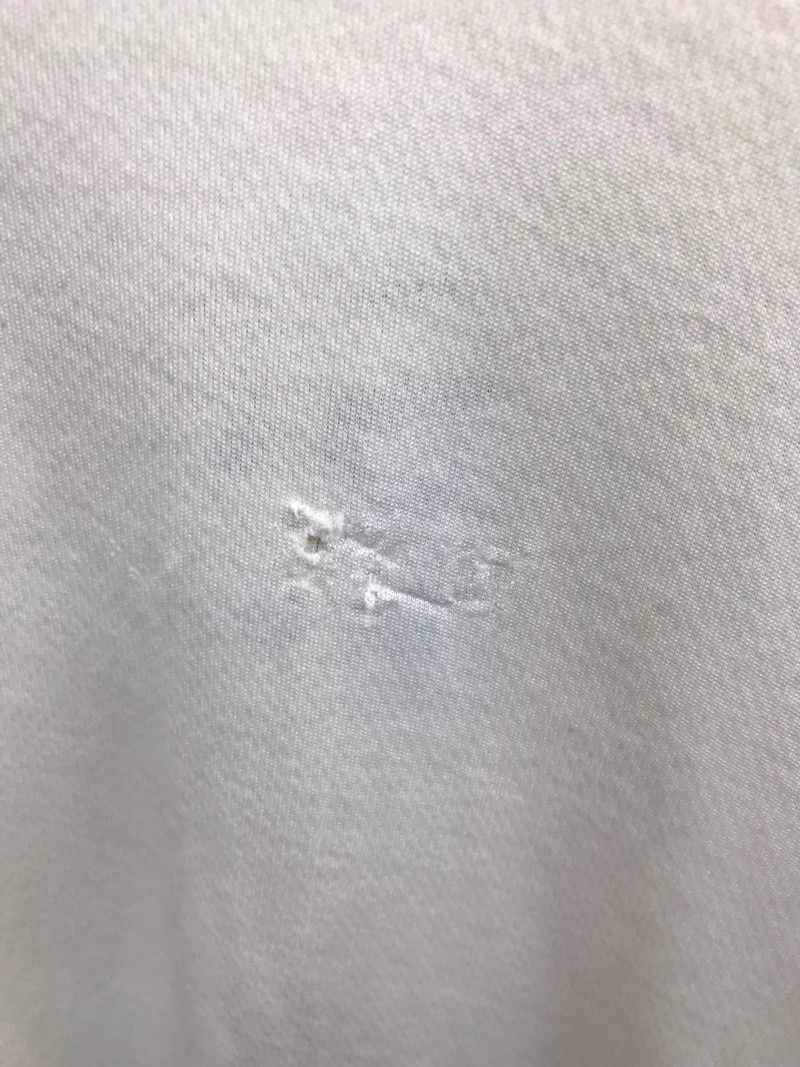 神奈川県　相模原中等教育学校　Tシャツ　【0303726】