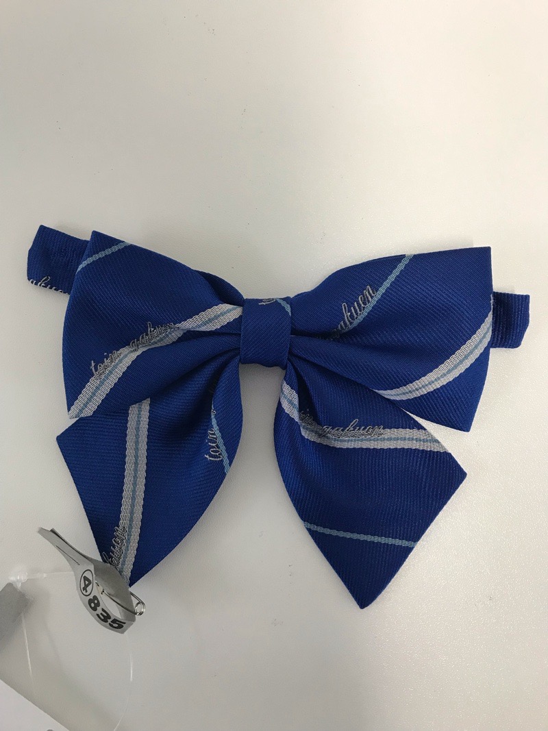 神奈川県 桐蔭学園高校 リボン 【0304835】