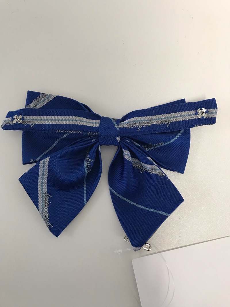 神奈川県 桐蔭学園高校 リボン 【0304835】