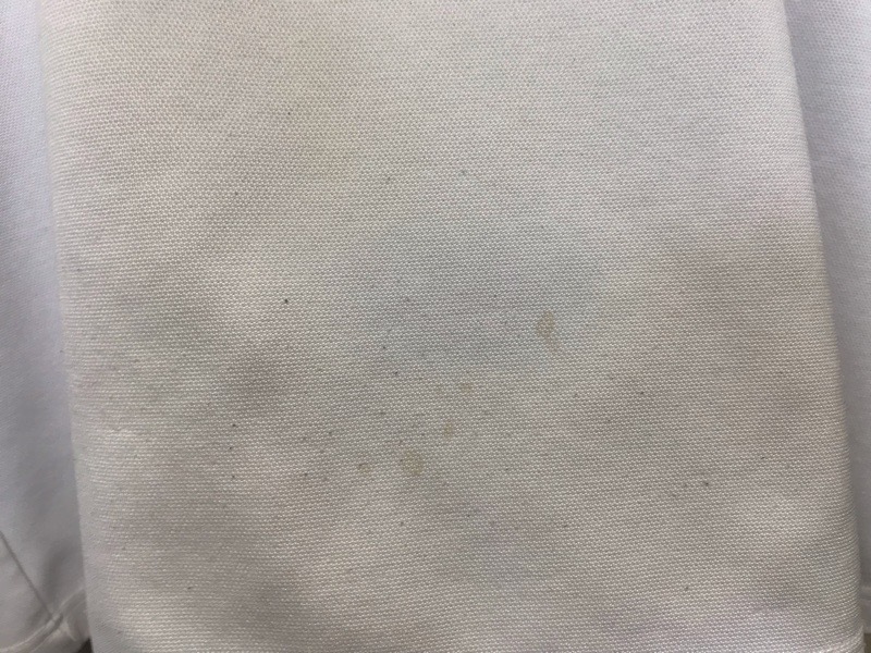 神奈川県 小鮎中学校 Tシャツ 【0304206】