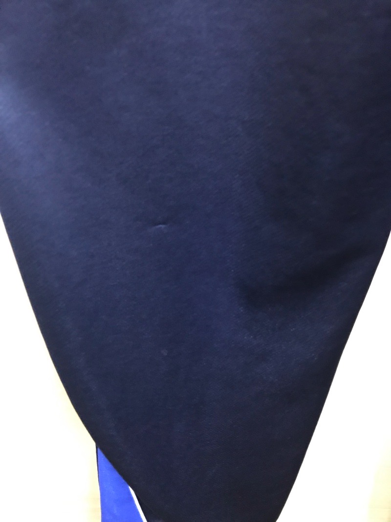 神奈川県　荻野中学校　ジャージ下　【0301202】