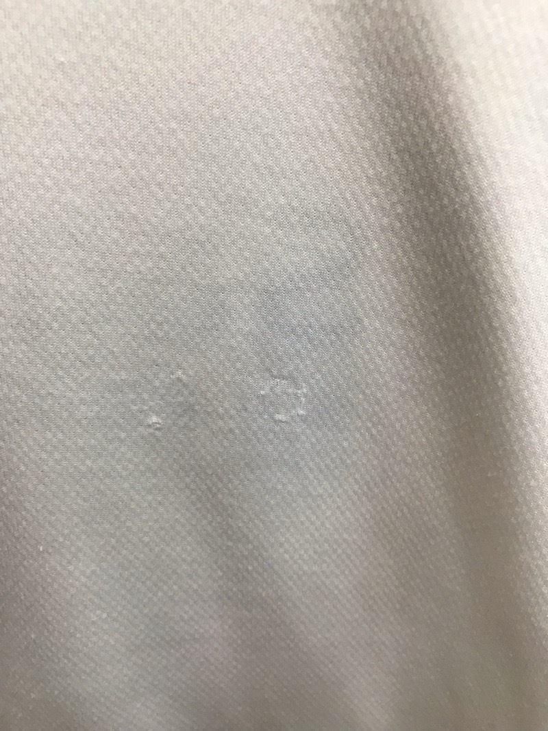 相模原中等教育学校　Tシャツ　【0302678】