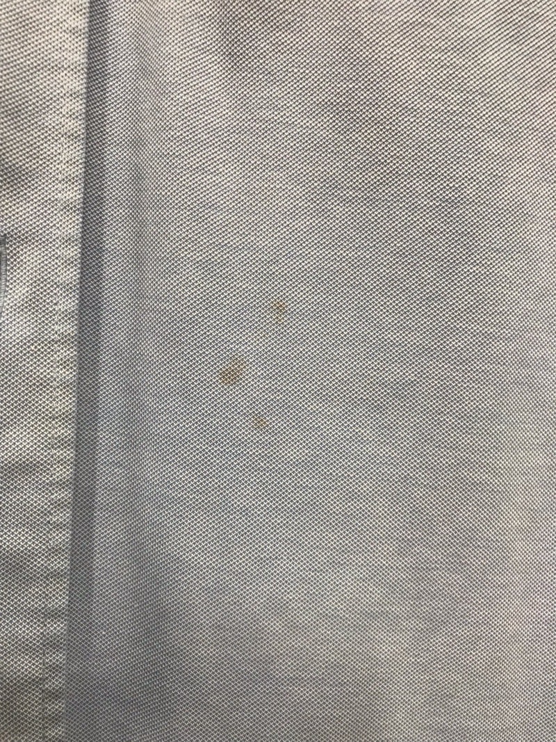 自修館中等教育学校 ワイシャツ 半袖 【0202501】