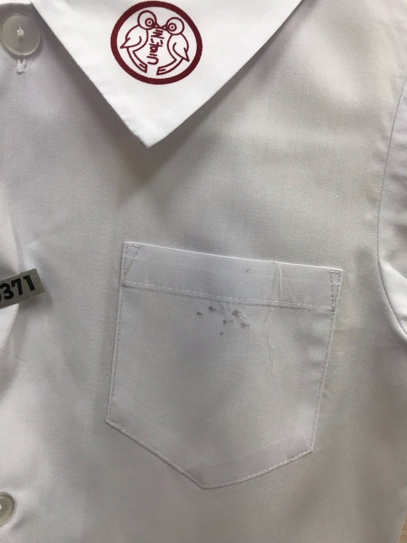 神奈川県　えいすう幼稚園　シャツ（半袖）【0303371】