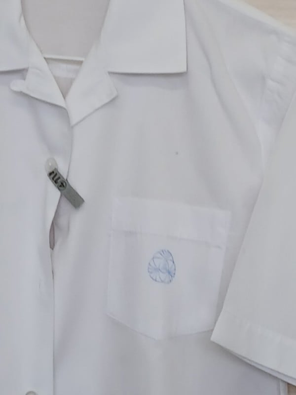 神奈川県　有馬高校　ブラウス（半袖）　【0304714】