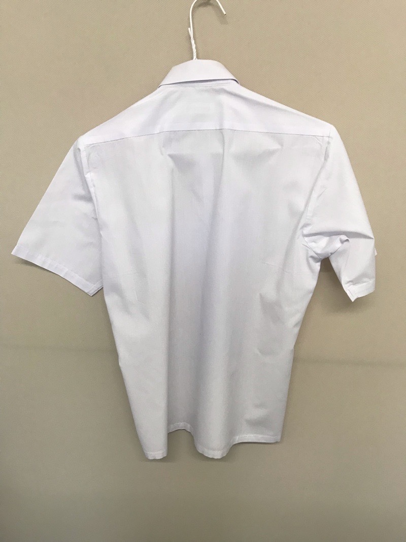 神奈川県　藤塚中学校　ブラウス（半袖）【0304303】