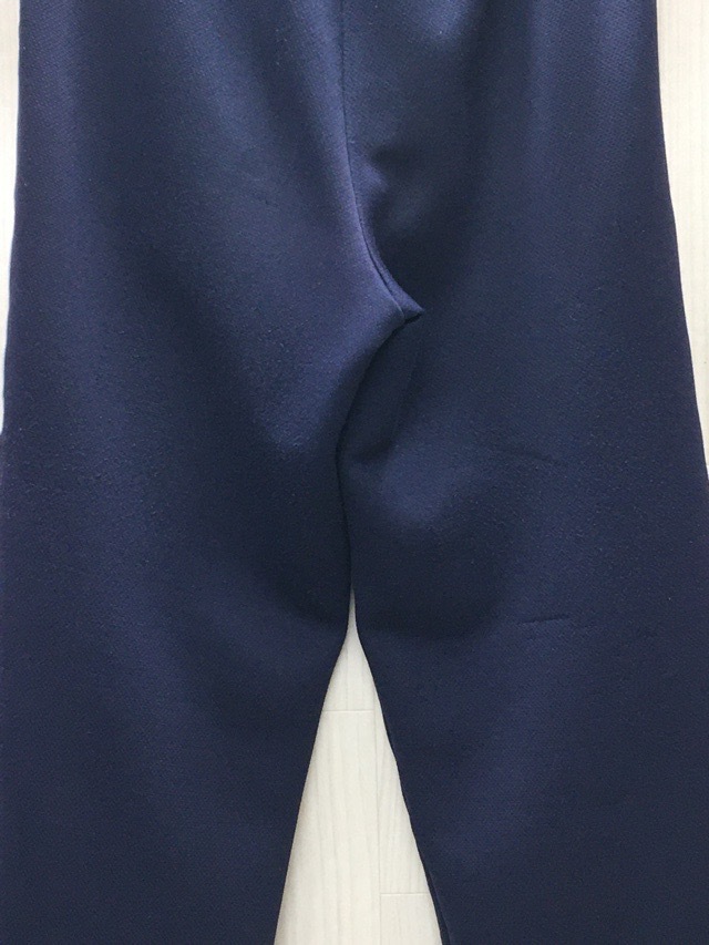 愛川中学校　ジャージ下　旧デザイン【0209742】