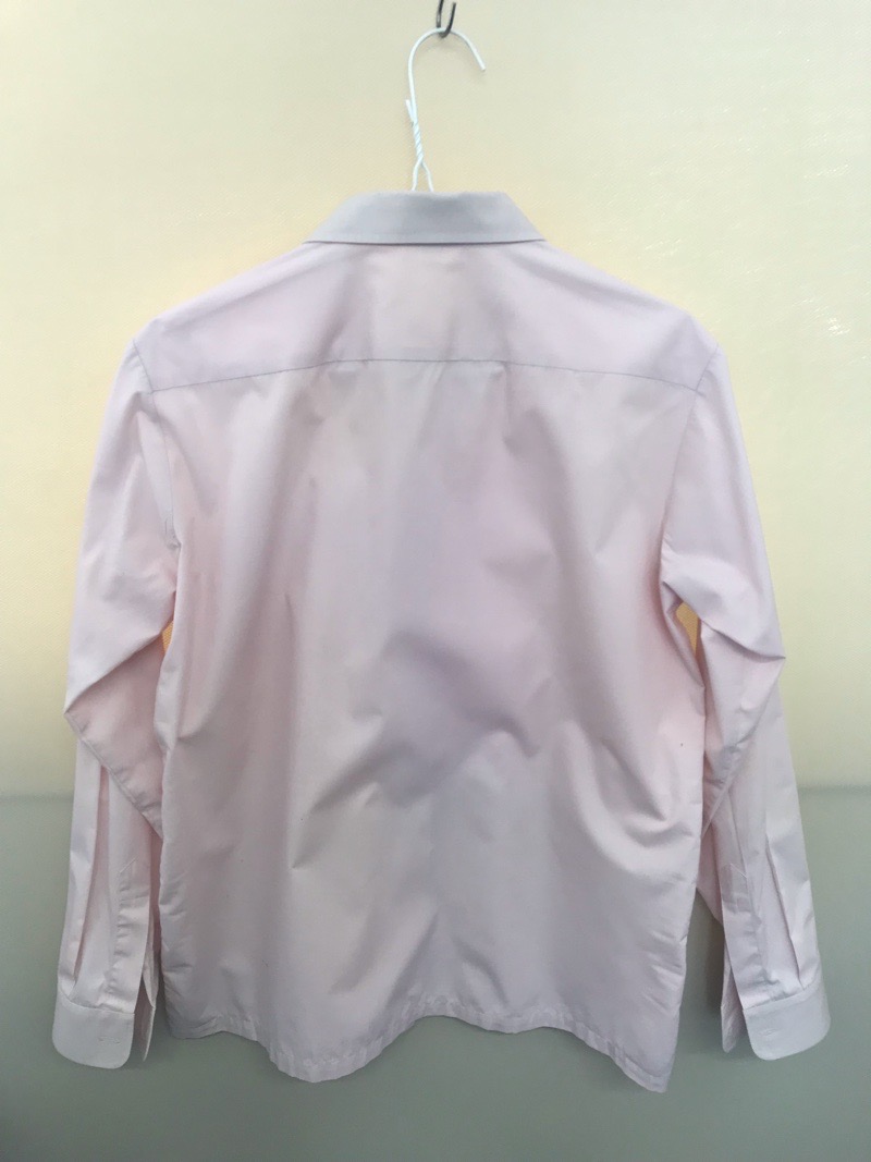 神奈川県 厚木清南高校 ブラウス(長袖)【0304342】