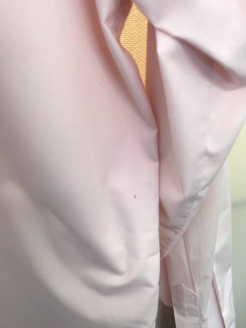 神奈川県 厚木清南高校 ブラウス(長袖)【0304342】