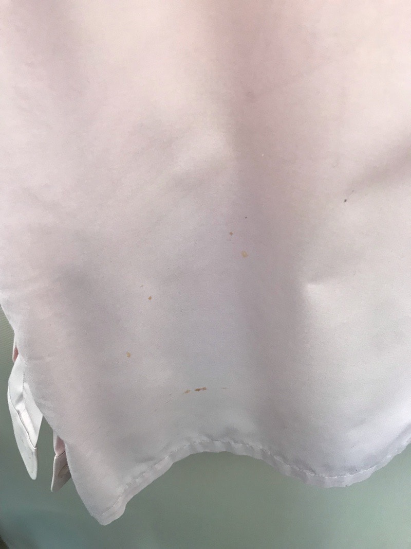 神奈川県 厚木清南高校 ブラウス(長袖)【0304342】