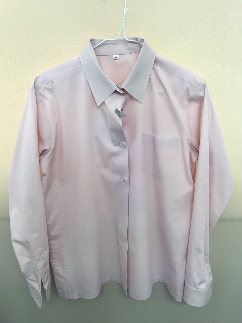 神奈川県 厚木清南高校 ブラウス(長袖)【0304342】