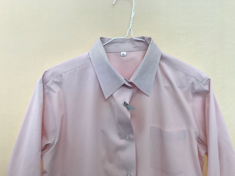 神奈川県 厚木清南高校 ブラウス(長袖)【0304342】