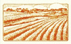 ھ̣2026ǯ28ۥȥ ե󥹥ѥѾʴ ɥ̡롡25kg