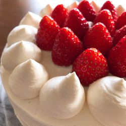 S���ݥ󥸥ߥå�����20kg