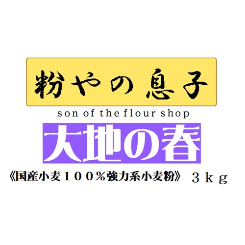 �դ���100����� ���Ϥνա�3kg