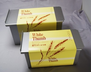 ���륷���� ���ѥ󥱡���