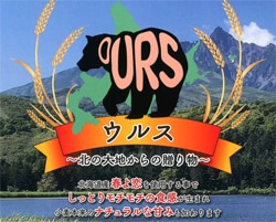 ���륹(�դ���100��ˡ�25kg