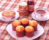 TD360 �ץǥ��󥰥������ߥå�����10kg