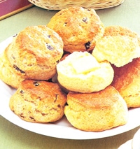 TD340 ��������ߥå�����10kg