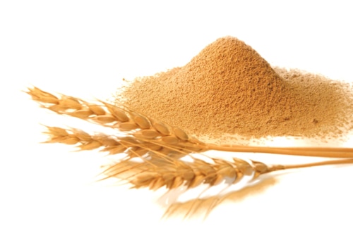 �񻺾����֥������������סˡ�2kg