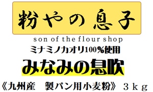 賞味期限2025年1月14日】ミナミノカオリ100％ みなみの息吹 3kg | 国内
