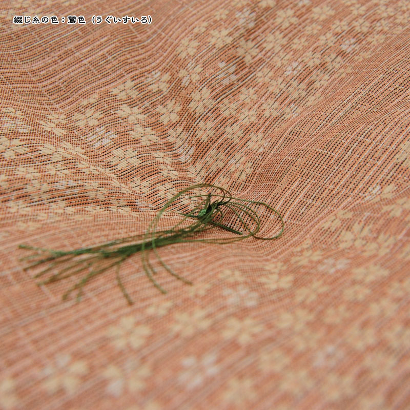 ġῥʪغޤ١㿧ʤ㤤