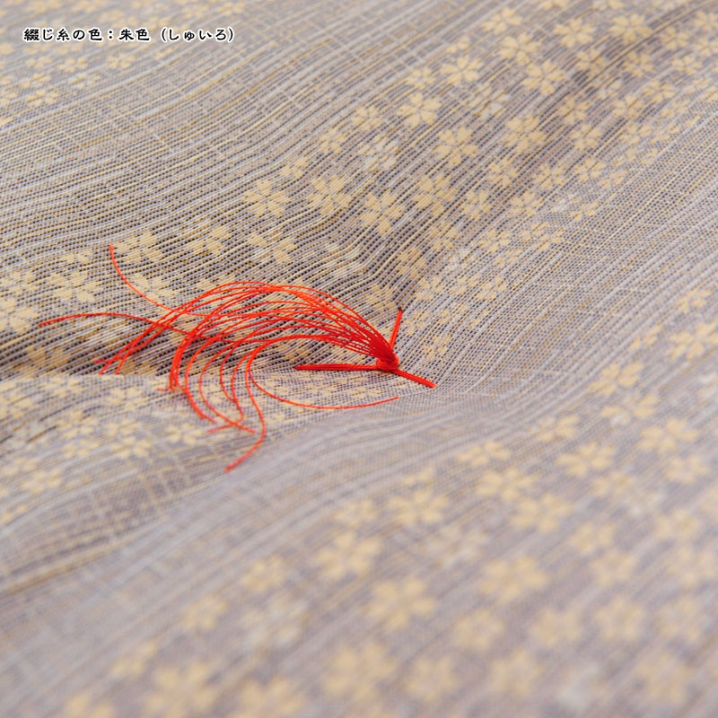 ġῥʪغޤ١ƣ翧ʤդ餵