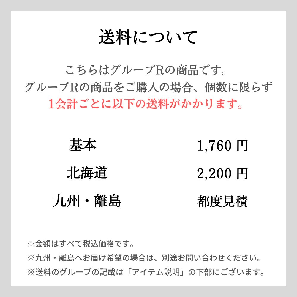 保存専用 クリアポケット タイムケア・アルバムページ A3｜ﾈｯﾄｼｮｯﾌﾟ