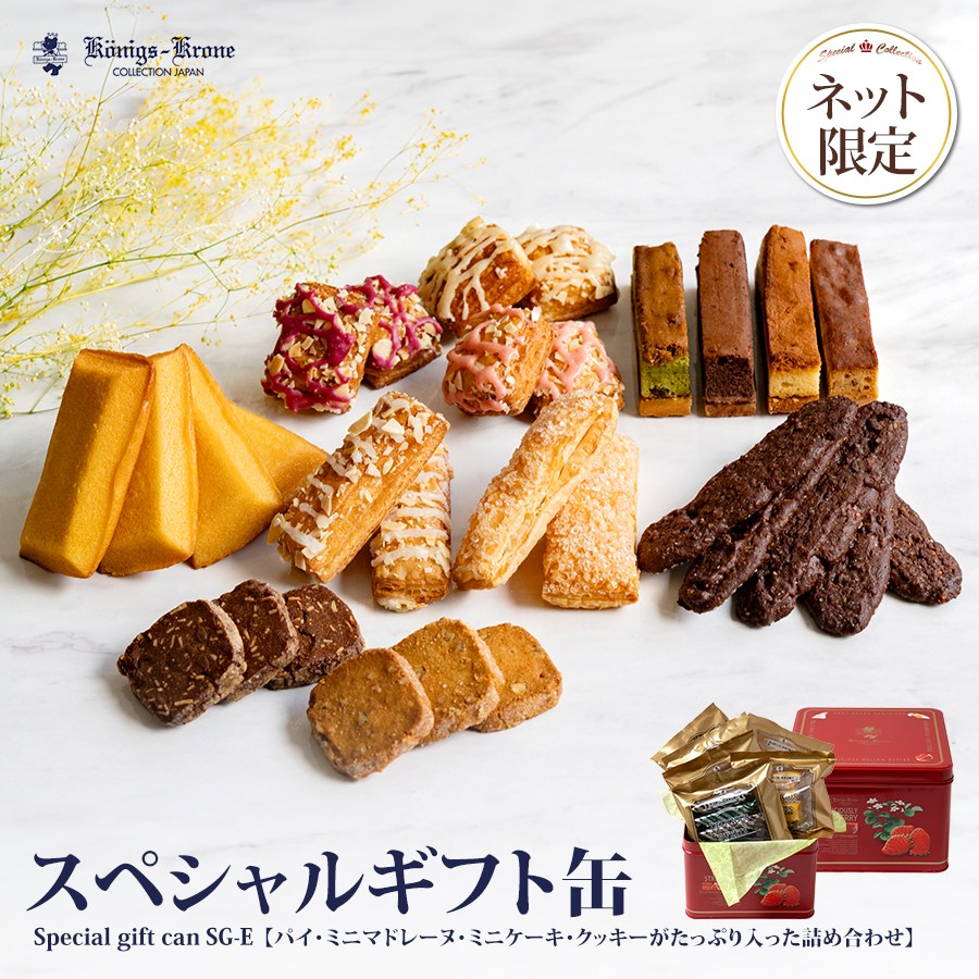 ���ڥ���륮�եȴ�SG-E