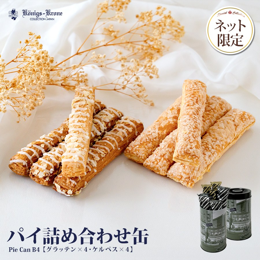 �ѥ��͹�碌�� B4 8����