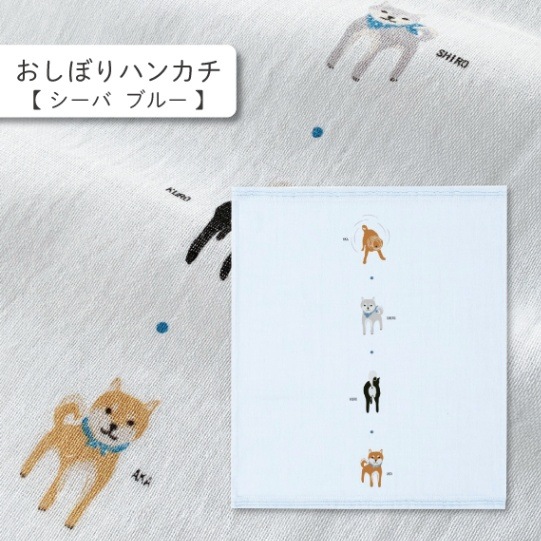 Soleil　フルコンプ10枚セット 筆青 40プレートセット