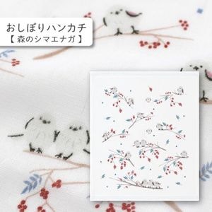 ����ȯ�䡡NEW�����Υ��ޥ��ʥ��������ܤ�ϥ󥫥�