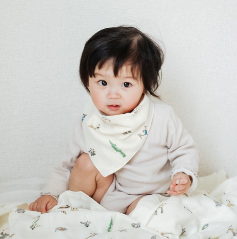 �٥ӡ�������������쥮�եȥ��åȡʥ٥ӡ��֥�󥱥åȡ�1��������1��