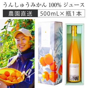 󤷤夦ߤ 100%塼 500ml  1