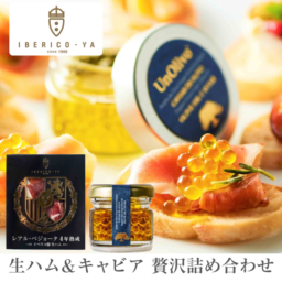 ڥ󲦼  ϥ  ӥ ꡼֥ å