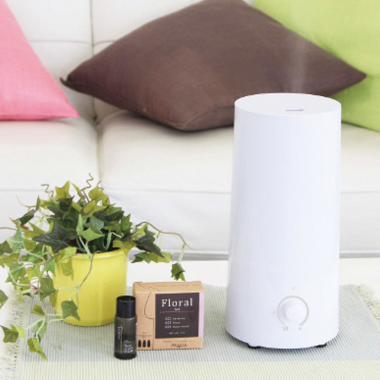 ������ Ķ���ȼ� �ü��� �ץꥺ�ᥤ��