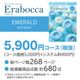 �ڥ����������եȡۥ���ܥå� ������� 5900�ߥ�����