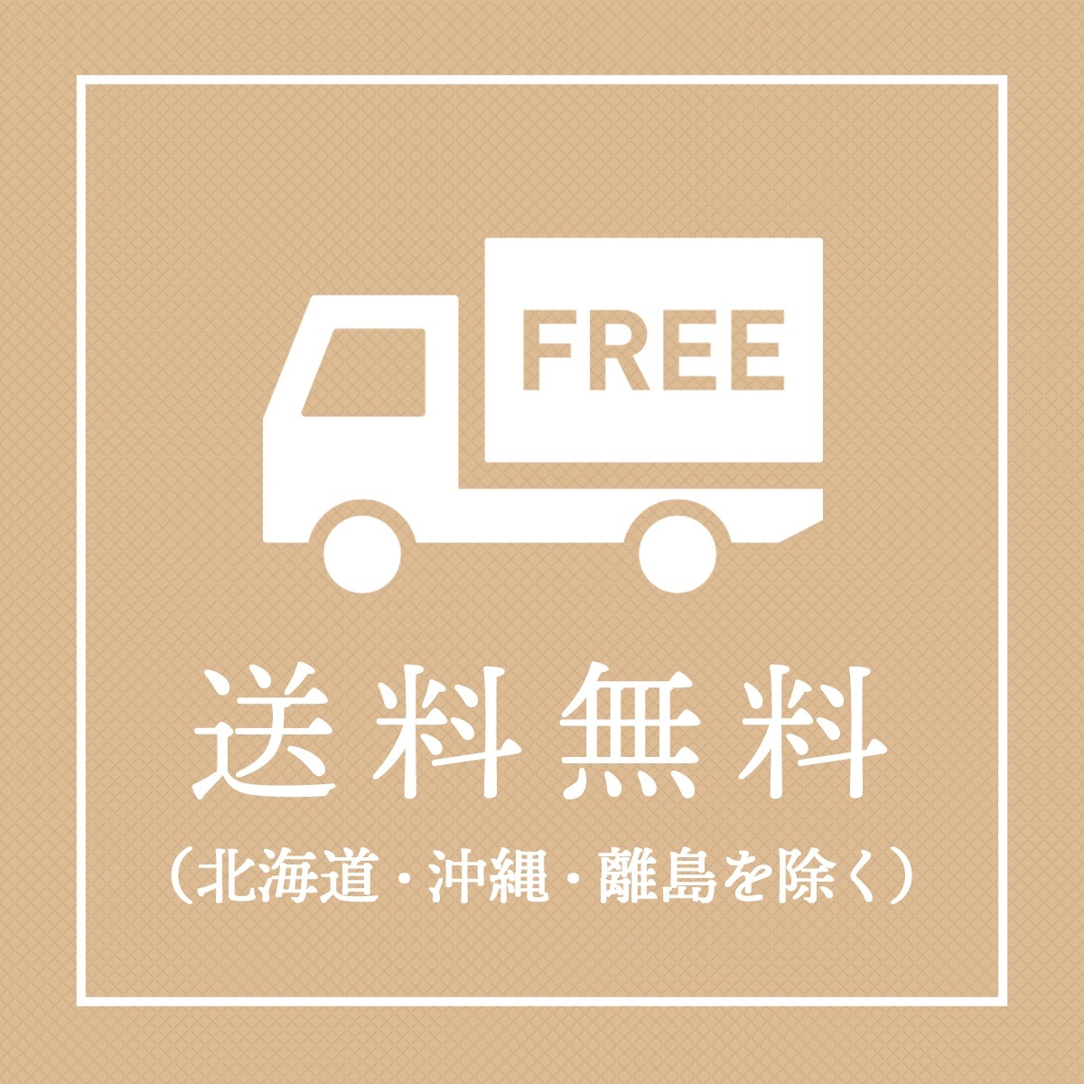 �����ƥ顦���Ƭ����Ƿ���礻